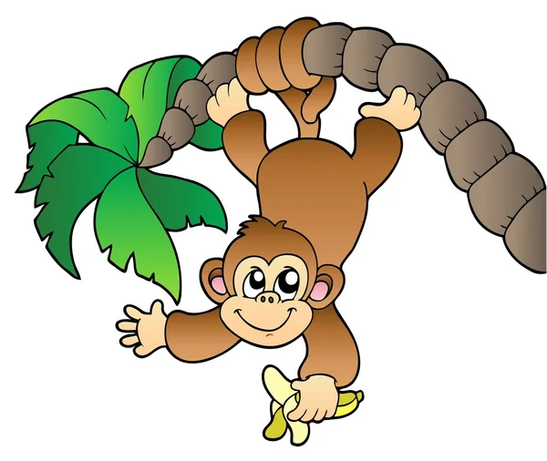 Aap opknoping op palmboom — Stockvector
