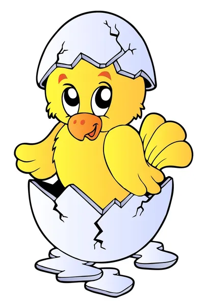 Cute Chicken Broken Eggshell Vector Illustration — Stock Vector