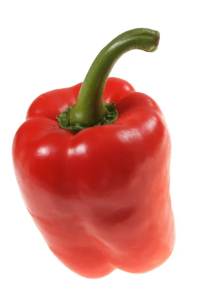 Röd paprica — Stockfoto