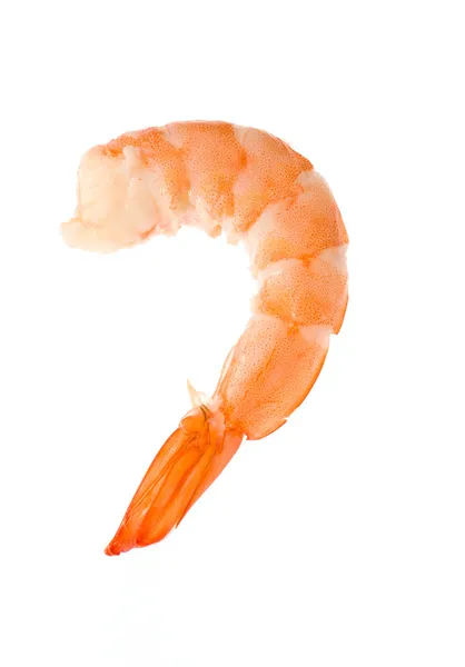 Fresh shrimp — Stock Photo, Image