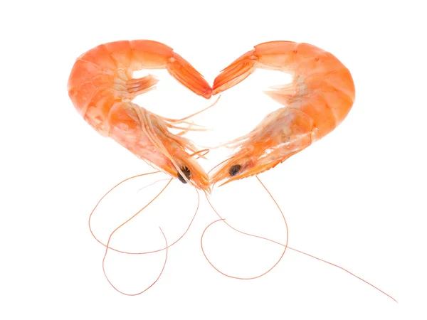 Shrimp - heart — Stock Photo, Image