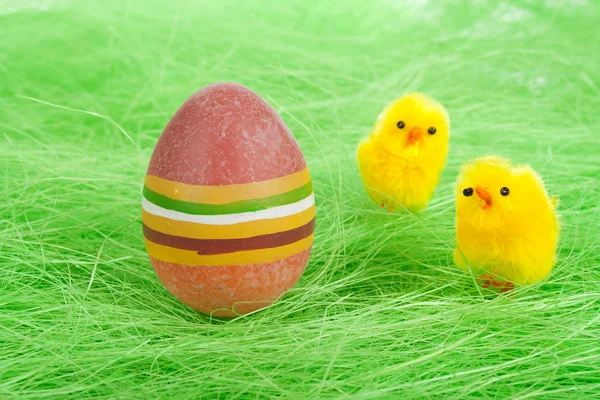Filhotes e pintado colorido Easter Egg — Fotografia de Stock