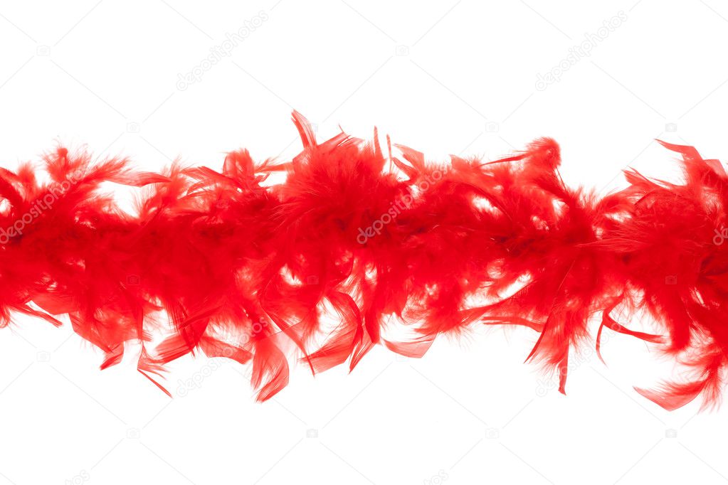 Red feathers-boas, photo on the white background