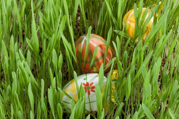 Huevos Pascua Escondidos Hierba Verde —  Fotos de Stock