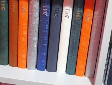 2011 color daybook diversity, white bookshelf clipart