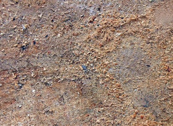 Trä sågspån textur bakgrund, träd närbild — Stockfoto