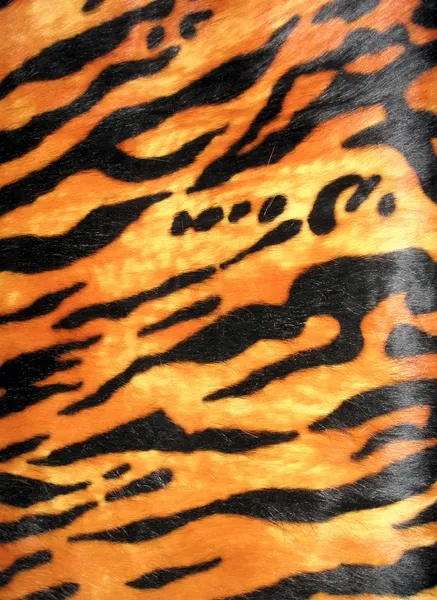 Tiger hud bakgrund, mode djurens mångfald. — Stockfoto