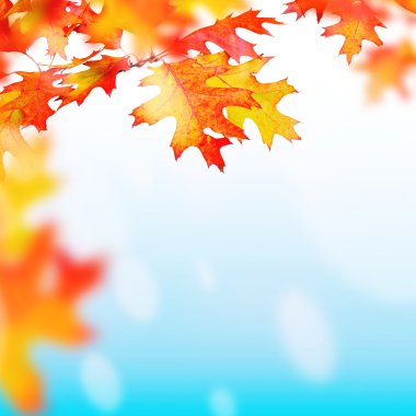 Background for design on a theme of autumn clipart