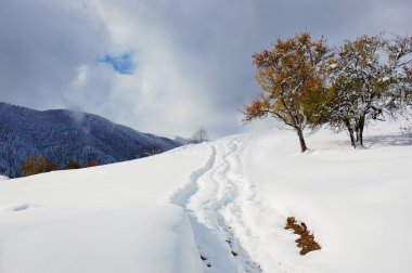 dağlarda ilk kar