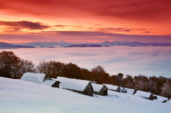 Восход солнца в горах и первый снег осенью — стоковое фото