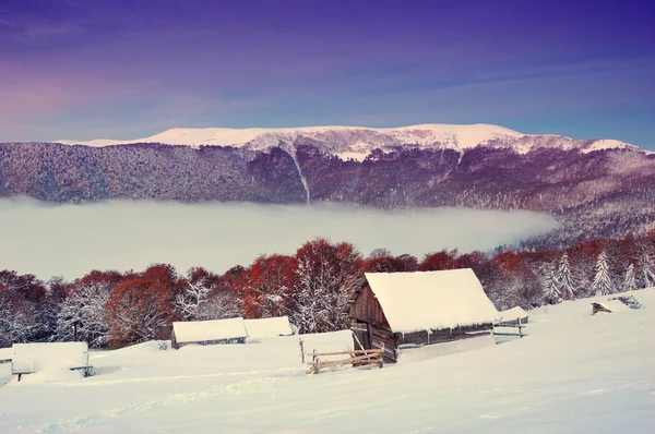 Sunrise in mountains and the first snow in the autumn — Stock Photo, Image