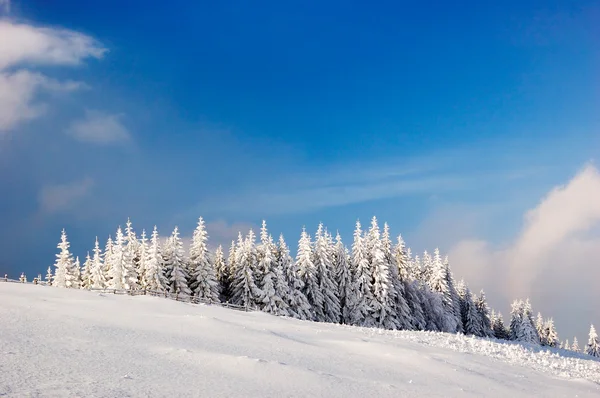 Peisaj de iarnă în munți — Fotografie, imagine de stoc