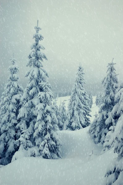 Winterlandschap met sneeuw in de bergen — Stockfoto