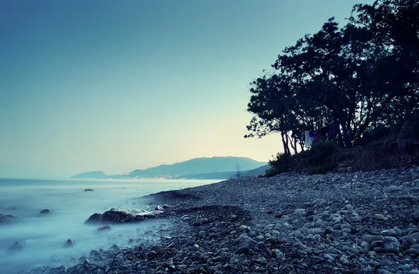 Sea landscape in the summer evening — Stock Photo, Image