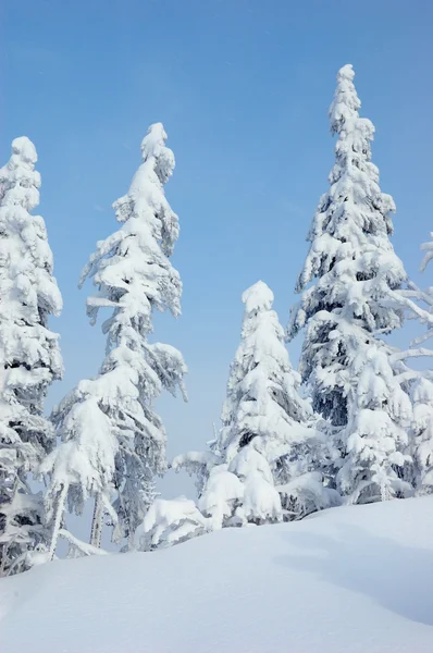 Paisaje invernal en montañas — Foto de Stock