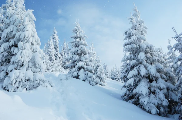 Paesaggio invernale in montagna — Foto Stock