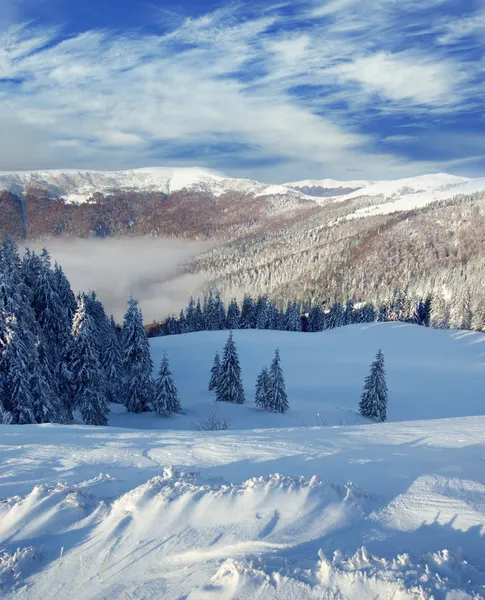 Dağlarda kış manzarası — Stok fotoğraf