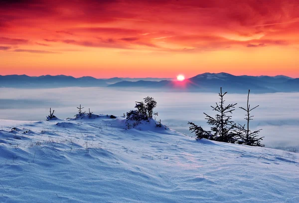 Zimowy krajobraz w górach — Zdjęcie stockowe