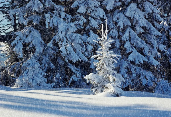Zimowy krajobraz w górach — Zdjęcie stockowe