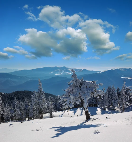 Зимовий пейзаж в горах — стокове фото