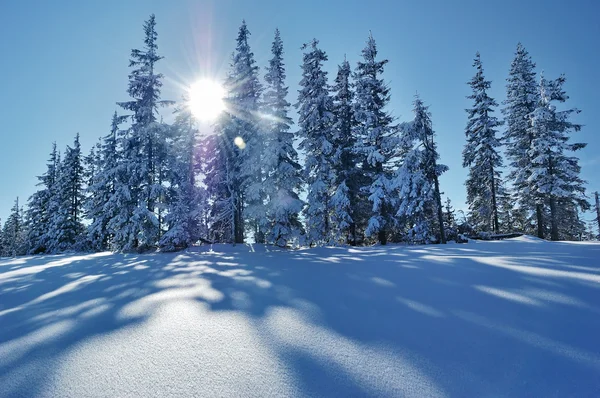 Paesaggio invernale in montagna — Foto Stock