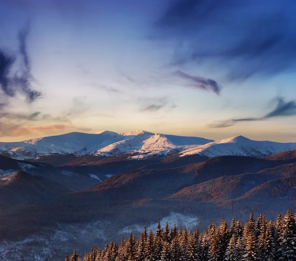 Winterlandschaft in den Bergen — Stockfoto