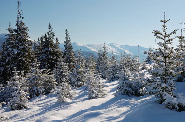 Vinterlandskap i fjell – stockfoto