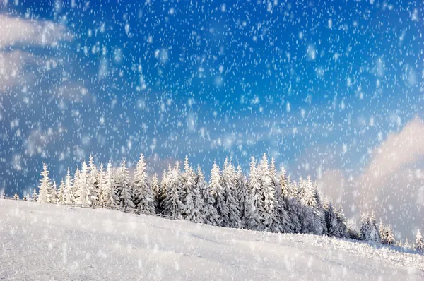 山の冬の風景 — ストック写真