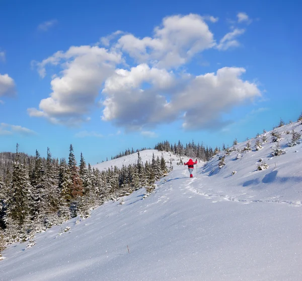 Paisaje invernal en montañas — Foto de Stock