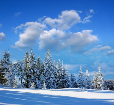 Winter landscape clipart