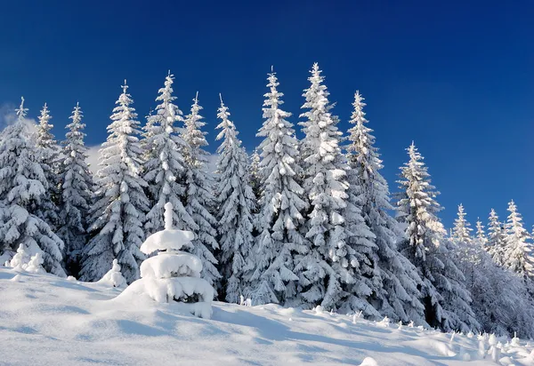 Paisagem de inverno nas montanhas — Fotografia de Stock