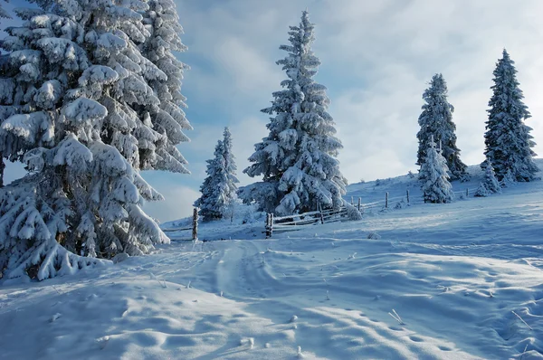 山区冬季景观 — 图库照片