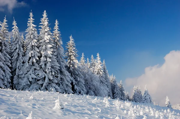 Paysage hivernal en montagne — Photo
