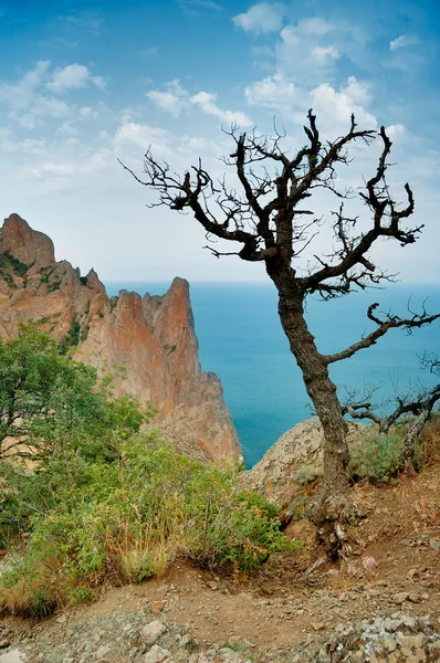 Paisaje Verano Con Mar Las Montañas Árbol Ucrania Crimea —  Fotos de Stock