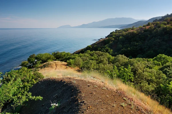 Летний Пейзаж Морем Горами Украина Республика Крым — стоковое фото