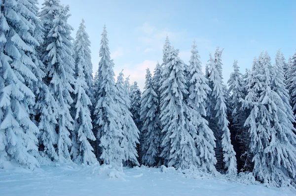 ภูมิทัศน์ฤดูหนาวในภูเขา — ภาพถ่ายสต็อก