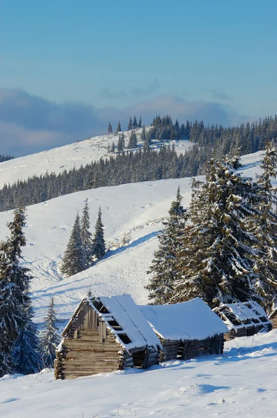 Krajobraz Zimy Śniegiem Gór Karpat Ukraina — Zdjęcie stockowe