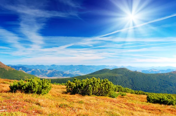 Letní Krajina Horách Zamračená Obloha — Stock fotografie