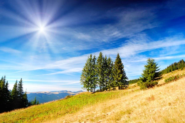 Sommerlandschaft Bergen Mit Wolkenverhangenem Himmel — Stockfoto