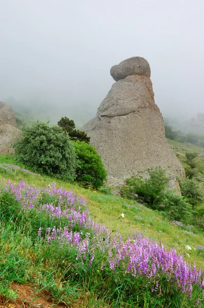 Fiori Rocce Montagna Con Nebbia Crimea Ucraina — Foto Stock