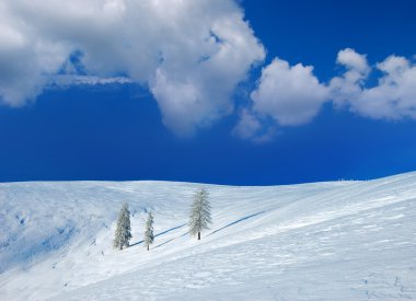 Kış manzarası ile karda dağlarda Karpatlar, Ukrayna