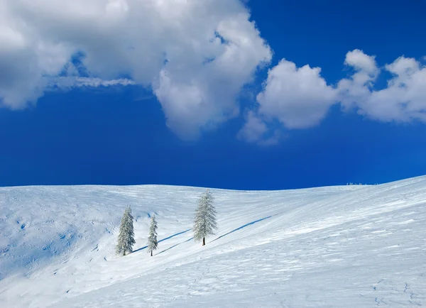 Зимовий Пейзаж Снігу Гори Карпати Україна — стокове фото