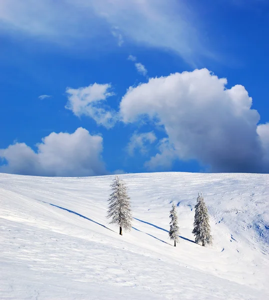 Зимний Пейзаж Снегом Горах Карпат Украина — стоковое фото