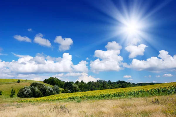 Paisagem Verão Com Campo Céu Com Nuvens — Fotografia de Stock
