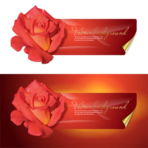 Fond Vectoriel Pour Conception Avec Une Rose Rouge — Image vectorielle