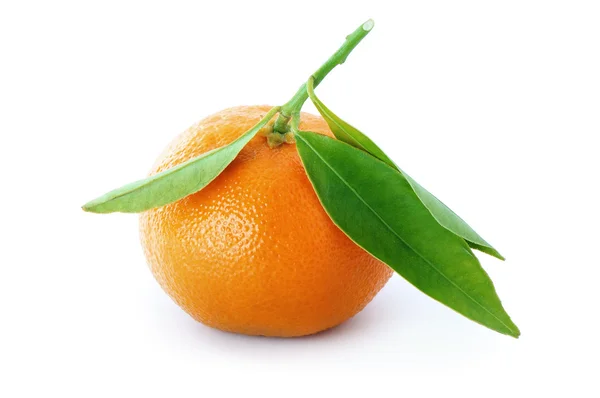 Mandarina madura con hojas verdes. — Foto de Stock