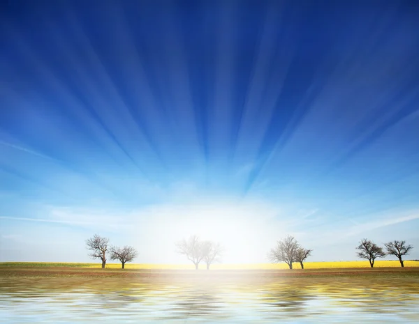 Zářit v nebi a stromy poblíž pole žluté řepky a vody na Ukrajině. — Stock fotografie