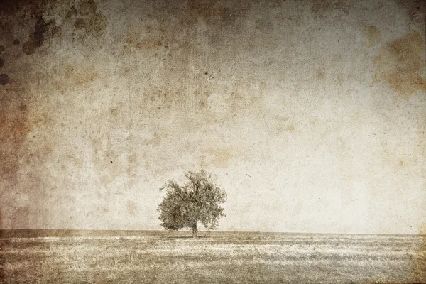 Drzewa w polu lato. zdjęcie w starym stylu obrazu. — Zdjęcie stockowe