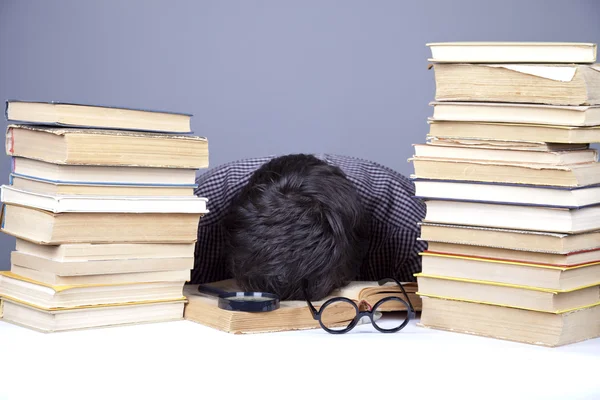 The young student with the books isolated. — Stock Photo, Image