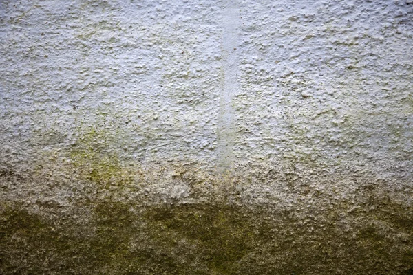 Mould at wall — Stock Photo, Image